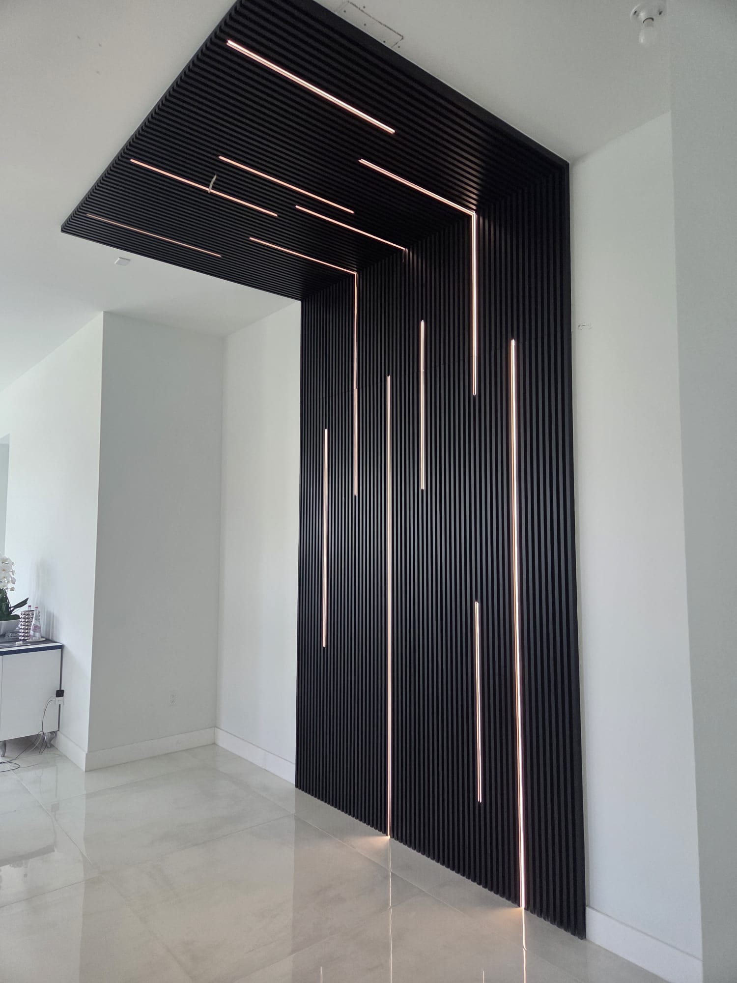 Decorative wall panel installation by COPLASA
